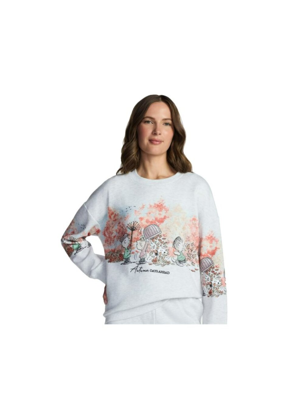 Peanuts Gang Snoopy And Friends Womens Large Autumn Days Ahead Sweatshirt - Picture 3 of 16